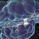 CRISPR identifies and locks on to its genetic target. IMAGE: MIT